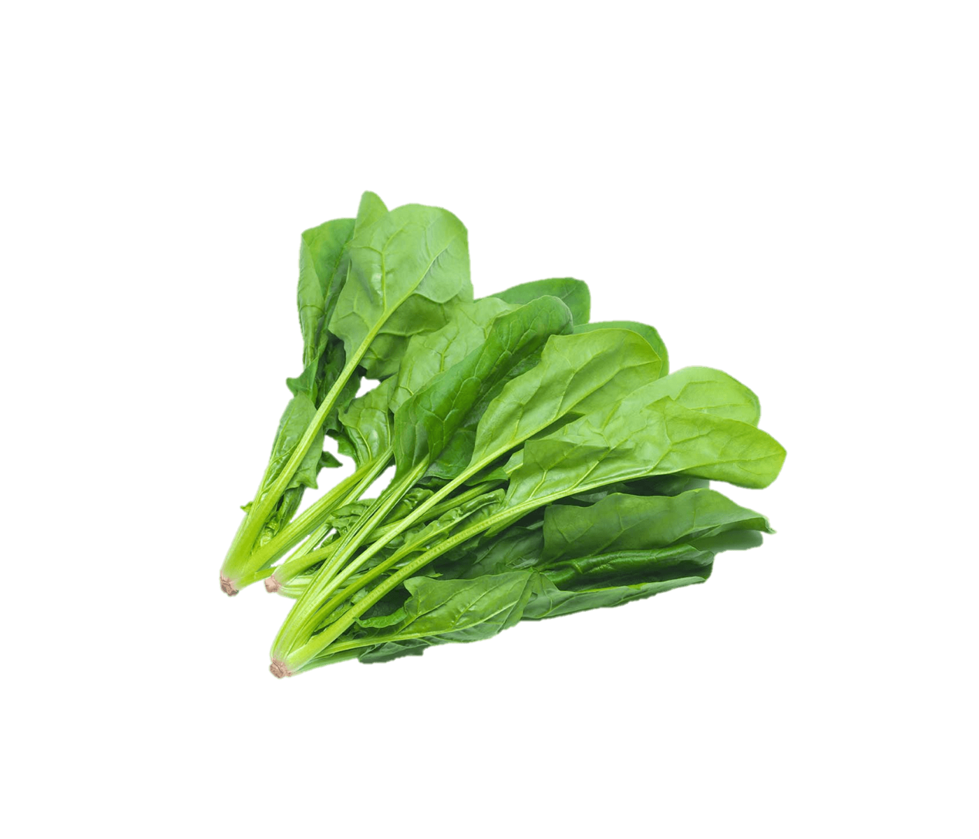 Espinaca x 2 atados - Promo!