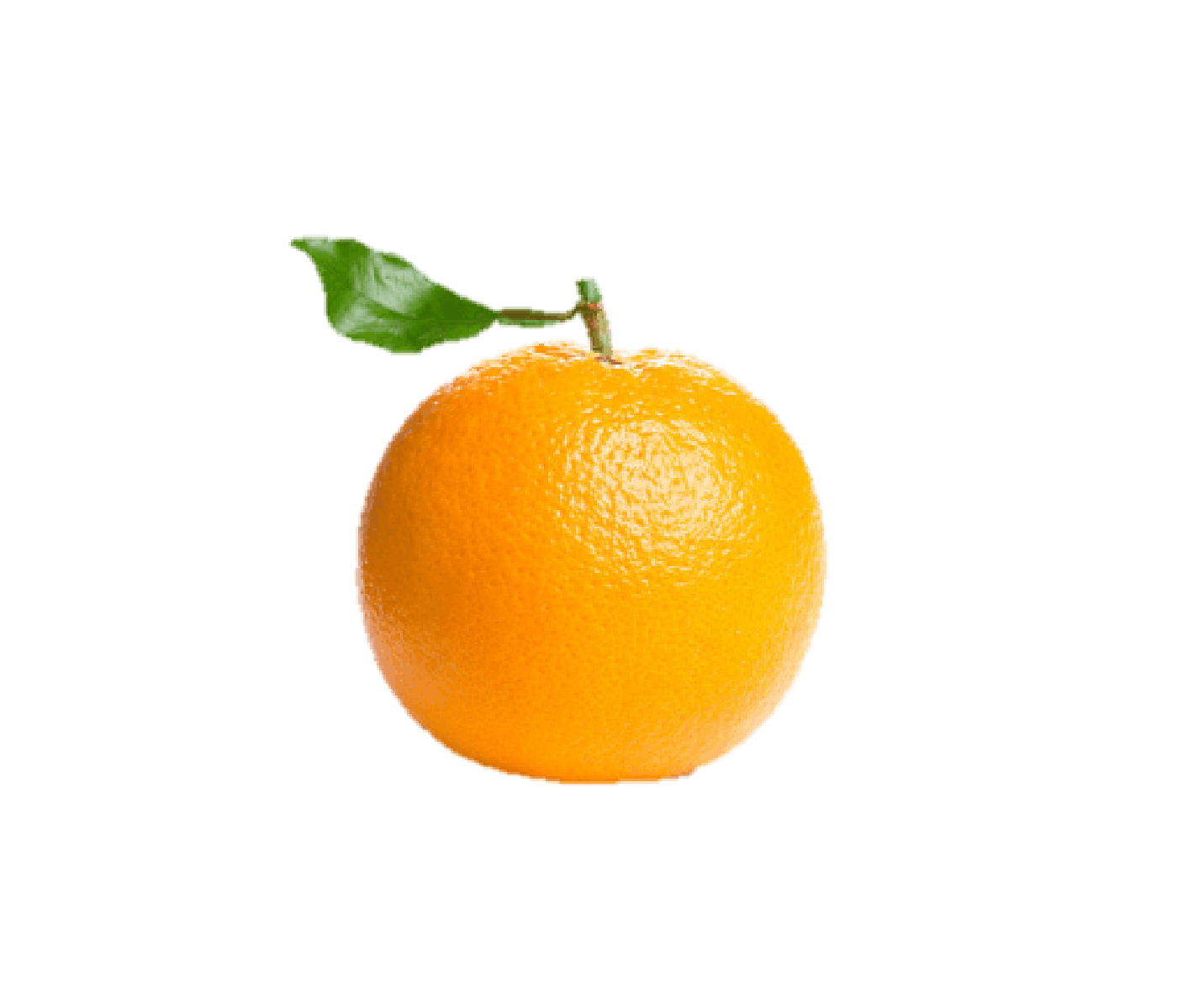 Naranja Ombligo 