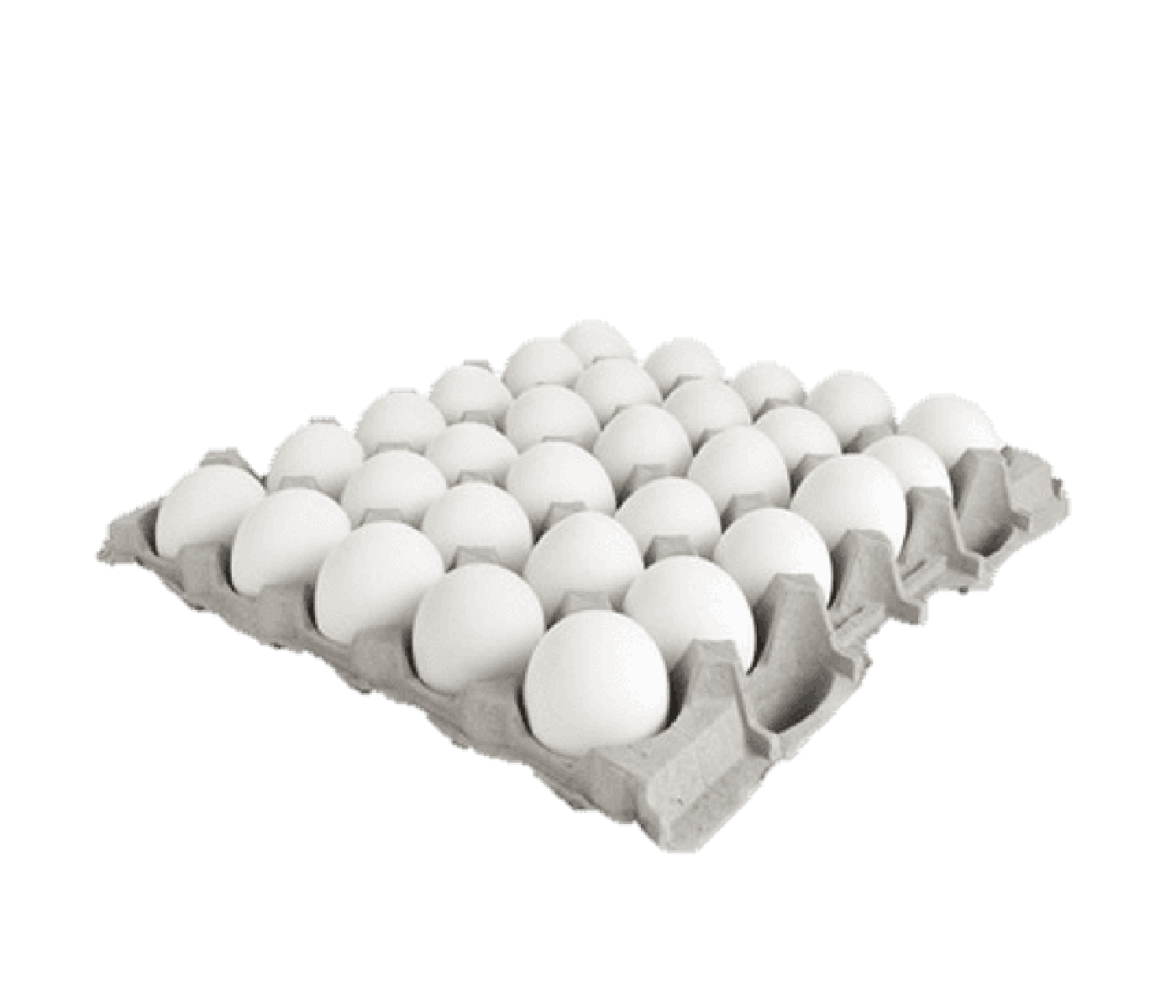 Huevos mediano Maple