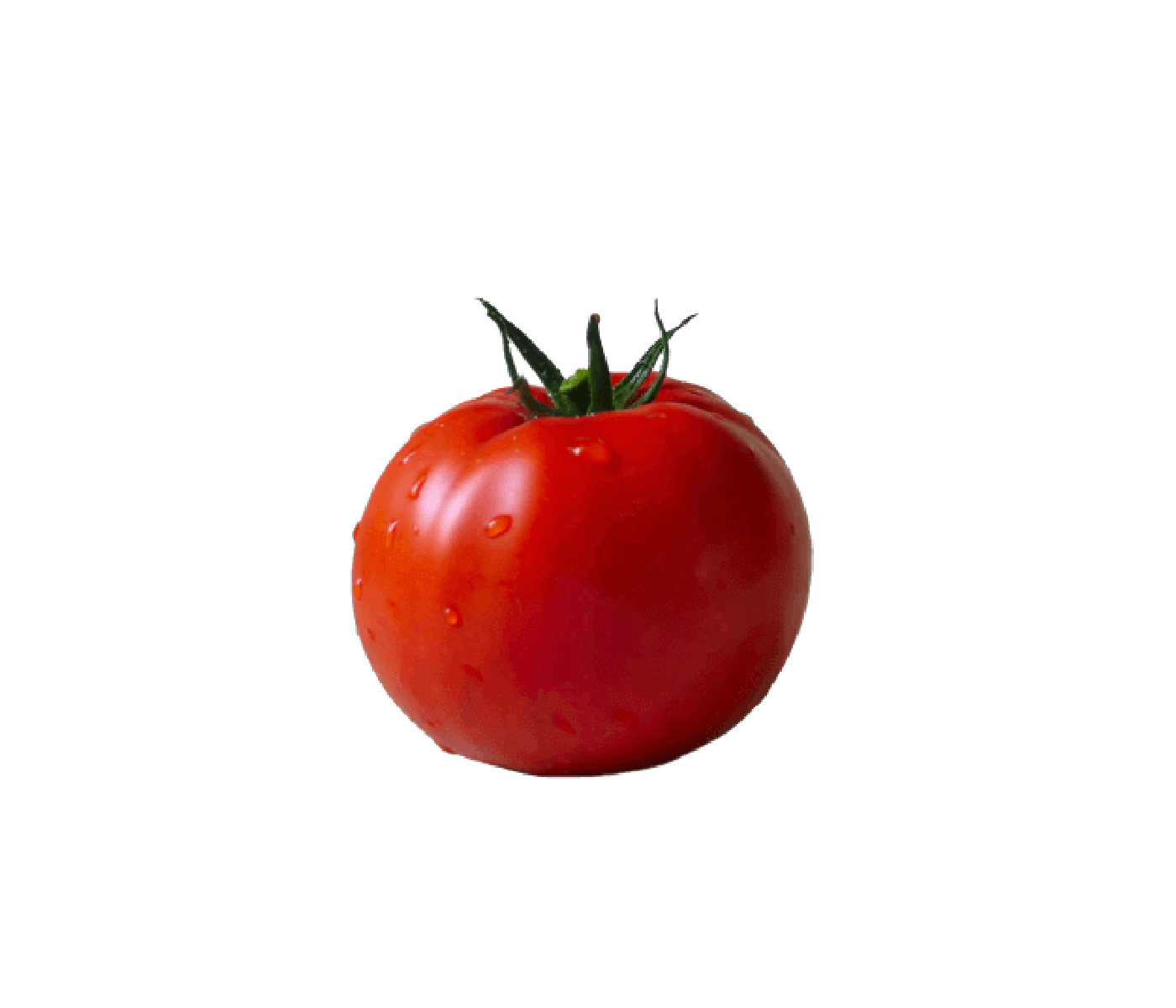 Tomate redondo grande superior